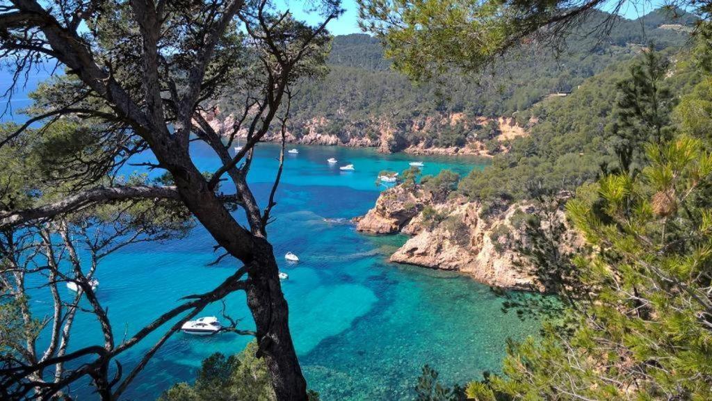 Studio Bandol Centre 2 Etoiles Ideal Emplacement Luaran gambar