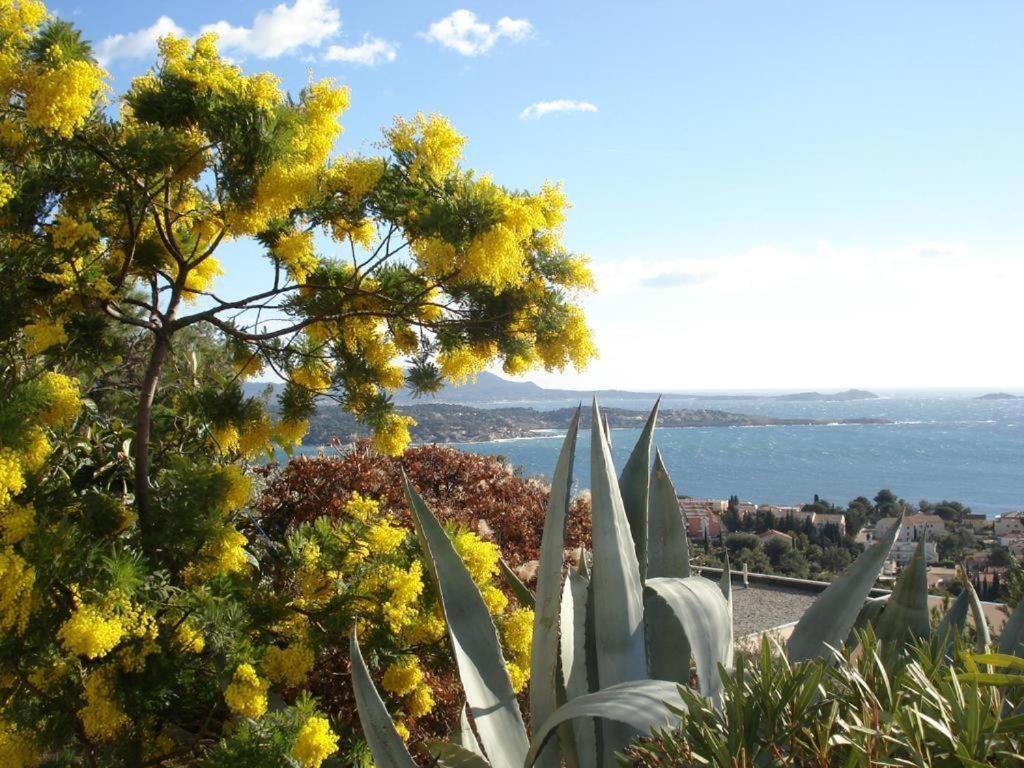 Studio Bandol Centre 2 Etoiles Ideal Emplacement Luaran gambar